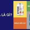 BCAA là gì? Vì sao người tập gym nên bổ sung dòng này?