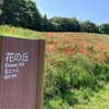 昭和記念公園、『花の丘』 花だより！(2022/6/4）