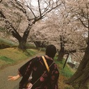 KimonoTabi-着物で旅行、着物でワーホリ-