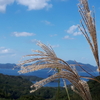 雨降って地固まる…きっとそうなる✨