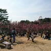 梅の花見に行ってきました🌸🍱🍡