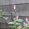 無理して。がんばっていませんか？