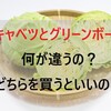 キャベツ専用の千切りスライサーは本当に美味しい！ところでグリーンボールとキャベツの違いって何なんだ？