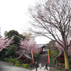 護国寺