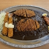 【デカ盛り】ゴーゴーカレー 相模大野モアーズスタジアム〜メジャーカレー ワールドチャンピオンクラス／総重量2.5キロ？／金沢カレー／大食いチャレンジ〜