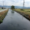 孫の焼くキュウリもよろしぬくめ酒