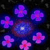 紫陽花の宇宙