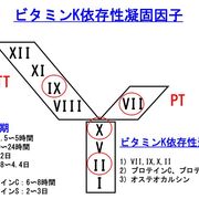 医学部 生化学 カテゴリーの記事一覧 譲治の勉強日記