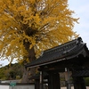 山行記　右田ヶ岳　天徳寺ルート→塚原ルート