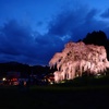 三春の滝桜の旅 Day1 開成山大神宮、メヒコ、夜桜、シーラックパル郡山