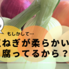 新玉ねぎが柔らかいのは腐ってるから？水分の多さが原因かも