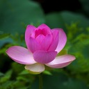 ミニマリストの心旅