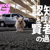 深夜の小さなドラマと、ロンの自由な時間