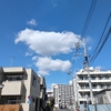                              (巻四十三) 躊躇［ためら］ひて点る街灯暮早し(田中)