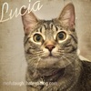 Lucia