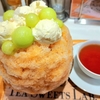 【夜会】高級メロンかき氷「笠間 雪みるく」茨城県！安い美味い最強ルート旅【7月17日】