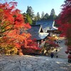 【京都】『神護寺』に行ってきました。 京都紅葉 そうだ京都行こう 女子旅