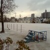 朝から雪景色