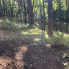 土曜日　茂原から長柄