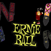 ERNIE BALL商品10％ポイントUPクーポン！新製品ストラップ！！Day-5