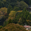 鳩ノ巣の紅葉