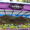 晩秋の会津旅（新潟編）　新津鉄道資料館を見学＆弥彦で菊まつりと紅葉を鑑賞