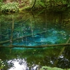 北海道旅行　－Day３ 　美しすぎる神の子池と裏摩周、キバシリなども観察できました－