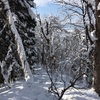 今年は少雪 2月に六万騎！