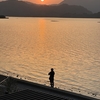 夕日泥棒。