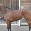 2019-2020 POG 牝馬第１位
