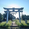 東日本最大の大杉 麻賀多神社 台方社