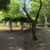 東向児童公園～つくば市とその周辺の風景写真案内（８２７）