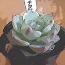 植物、いろいろ成長記