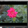 Nikon D3200 RawファイルをARTでNX Studioに似せてみる