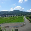 アルゴ杯2024（大会3日目）