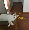 よく来たね