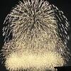 本日は板橋区花火大会！（グーグー寝た一日でした）