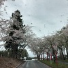 山形県 徳良湖温泉 花笠の湯 トロトロ温泉でお花見しながら美肌活