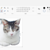ペイントを使った画像背景削除方法