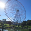 まんぼぅくん、葛西臨海公園のヒマワリ　その6