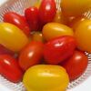 ミニトマトの簡単マリネ