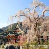 久遠寺と枝垂桜