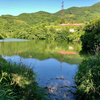 愛宕池（和歌山県紀の川）