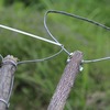 株間除草機の考察、その後。