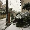 新潟初雪