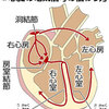 「期外収縮」健康な人にも