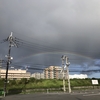 低く架かった虹