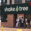 shake tree（両国）