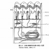 触覚について調べてみよう