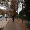 パリ　マルモッタン美術館　公園に囲まれた瀟洒な美術館